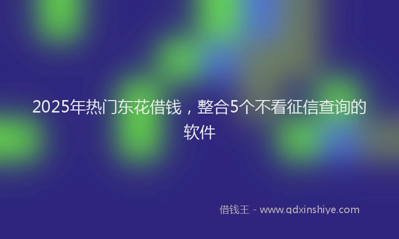 2025年热门东花借钱，整合5个不看征信查询的软件