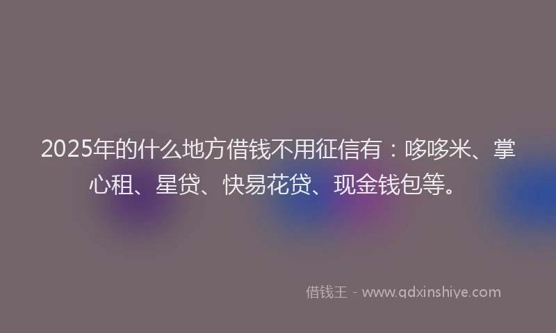 2025年的什么地方借钱不用征信有：哆哆米、掌心租、星贷、快易花贷、现金钱包等。