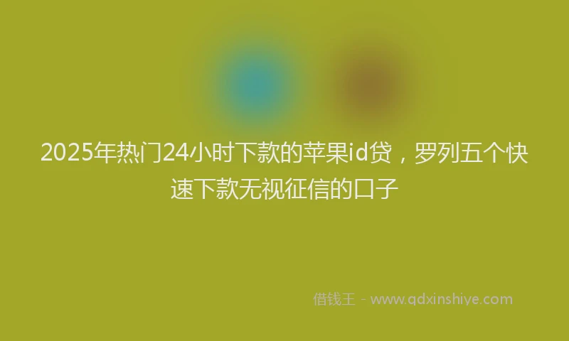 2025年热门24小时下款的苹果id贷，罗列五个快速下款无视征信的口子