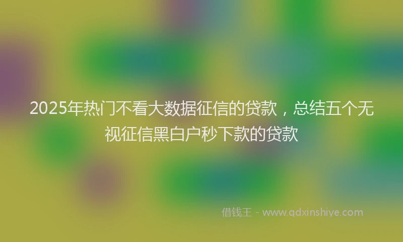 2025年热门不看大数据征信的贷款，总结五个无视征信黑白户秒下款的贷款