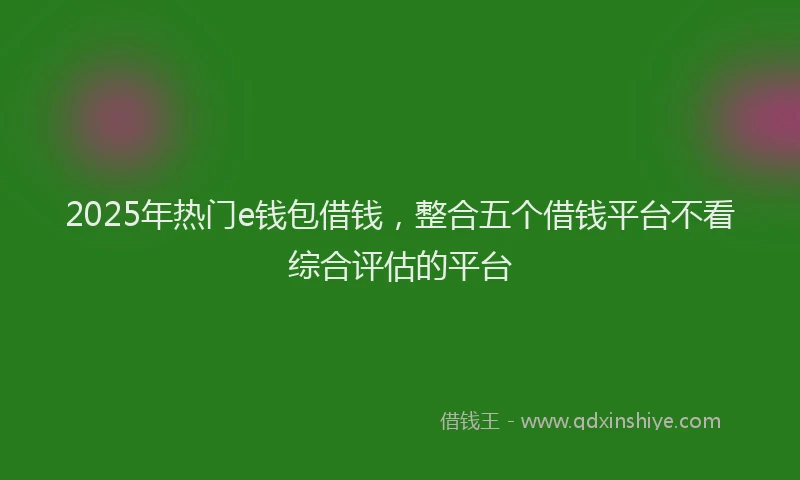 2025年热门e钱包借钱，整合五个借钱平台不看综合评估的平台