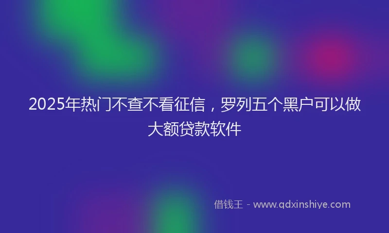 2025年热门不查不看征信，罗列五个黑户可以做大额贷款软件