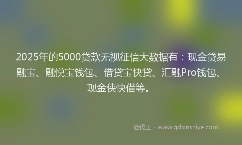 2025年的5000贷款无视征信大数据有：现金贷易融宝、融悦宝钱包、借贷宝快贷、汇融Pro钱包、现金侠快借等。