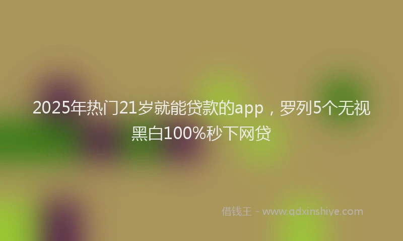 2025年热门21岁就能贷款的app，罗列5个无视黑白100%秒下网贷