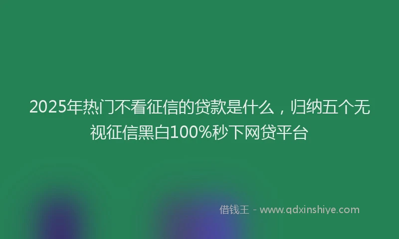 2025年热门不看征信的贷款是什么，归纳五个无视征信黑白100%秒下网贷平台