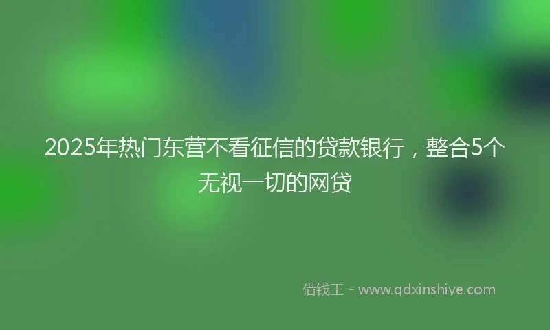 2025年热门东营不看征信的贷款银行，整合5个无视一切的网贷