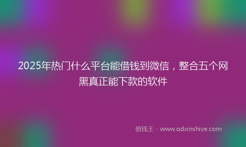 2025年热门什么平台能借钱到微信，整合五个网黑真正能下款的软件