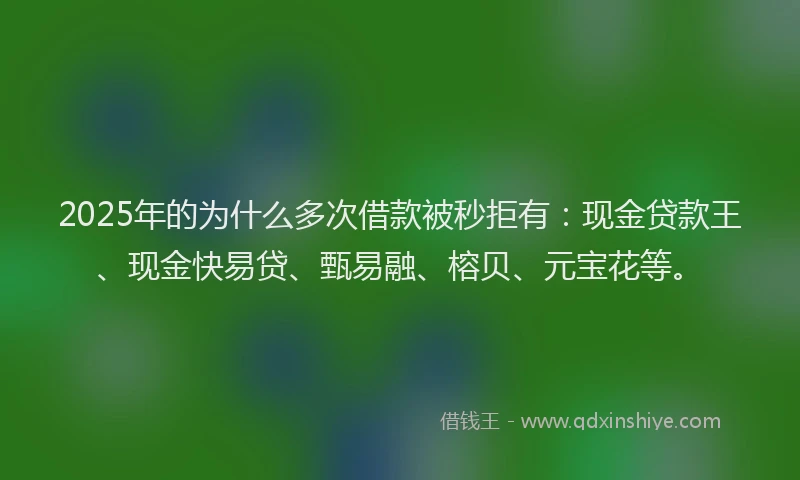 2025年的为什么多次借款被秒拒有：现金贷款王、现金快易贷、甄易融、榕贝、元宝花等。