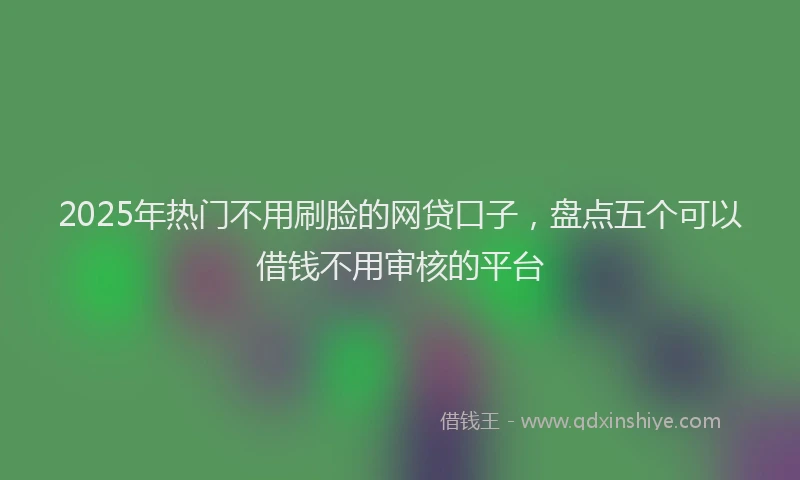 2025年热门不用刷脸的网贷口子，盘点五个可以借钱不用审核的平台