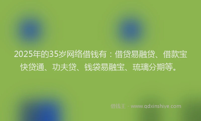 2025年的35岁网络借钱有：借贷易融贷、借款宝快贷通、功夫贷、钱袋易融宝、琉璃分期等。