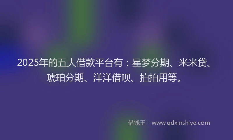 2025年的五大借款平台有：星梦分期、米米贷、琥珀分期、洋洋借呗、拍拍用等。