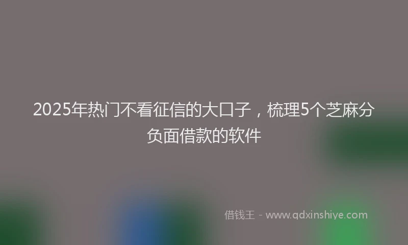 2025年热门不看征信的大口子，梳理5个芝麻分负面借款的软件