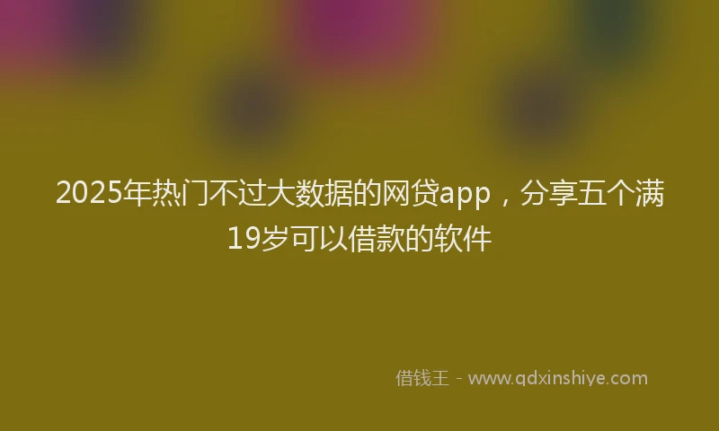2025年热门不过大数据的网贷app，分享五个满19岁可以借款的软件