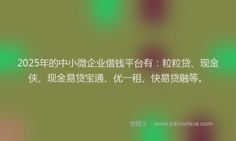 2025年的中小微企业借钱平台有：粒粒贷、现金侠、现金易贷宝通、优一租、快易贷融等。