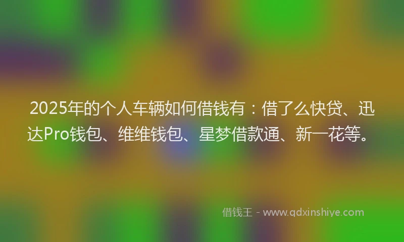 2025年的个人车辆如何借钱有：借了么快贷、迅达Pro钱包、维维钱包、星梦借款通、新一花等。