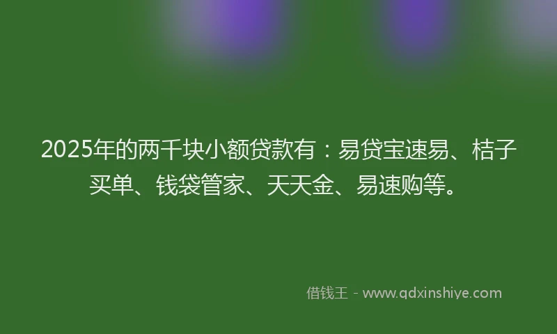 2025年的两千块小额贷款有：易贷宝速易、桔子买单、钱袋管家、天天金、易速购等。