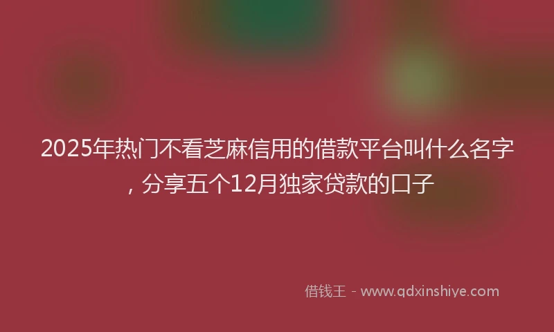 2025年热门不看芝麻信用的借款平台叫什么名字，分享五个12月独家贷款的口子