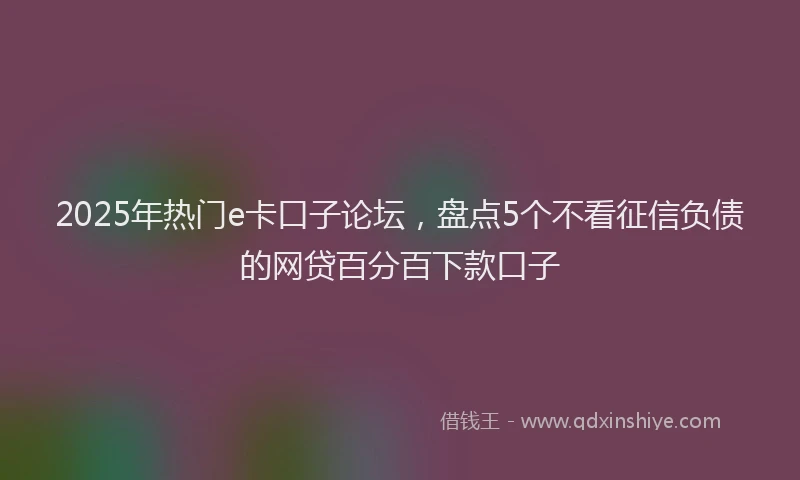 2025年热门e卡口子论坛，盘点5个不看征信负债的网贷百分百下款口子