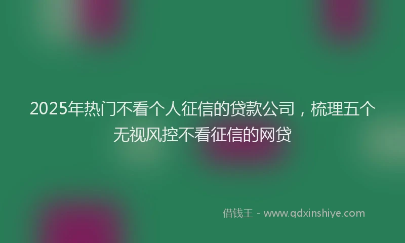 2025年热门不看个人征信的贷款公司，梳理五个无视风控不看征信的网贷