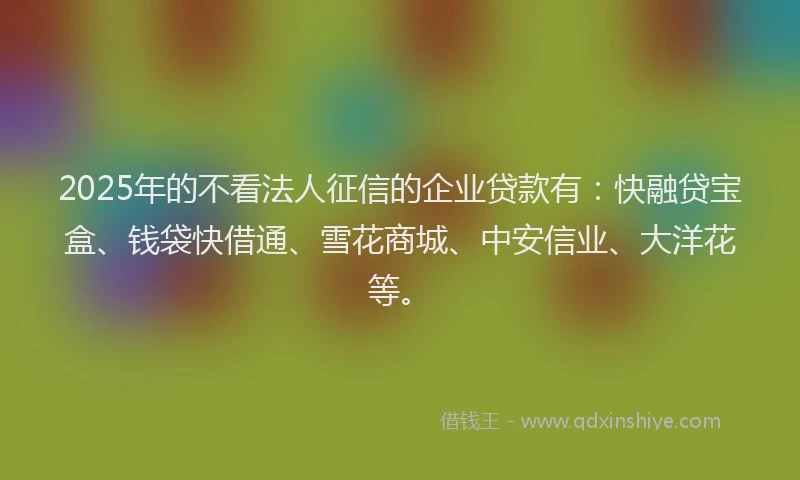 2025年的不看法人征信的企业贷款有：快融贷宝盒、钱袋快借通、雪花商城、中安信业、大洋花等。