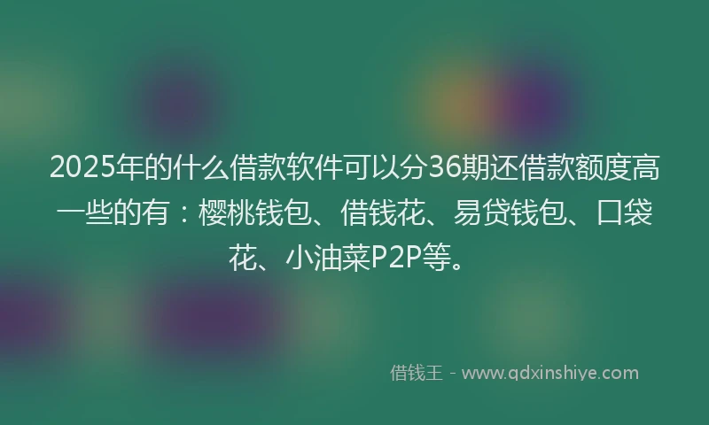 2025年的什么借款软件可以分36期还借款额度高一些的有：樱桃钱包、借钱花、易贷钱包、口袋花、小油菜P2P等。