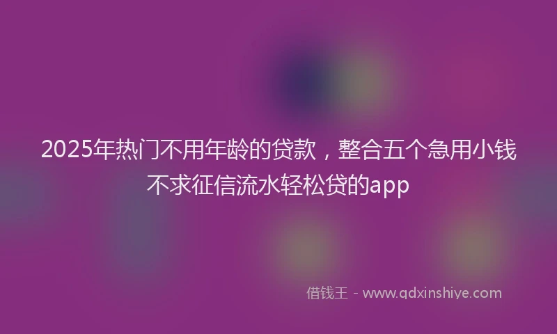 2025年热门不用年龄的贷款，整合五个急用小钱不求征信流水轻松贷的app