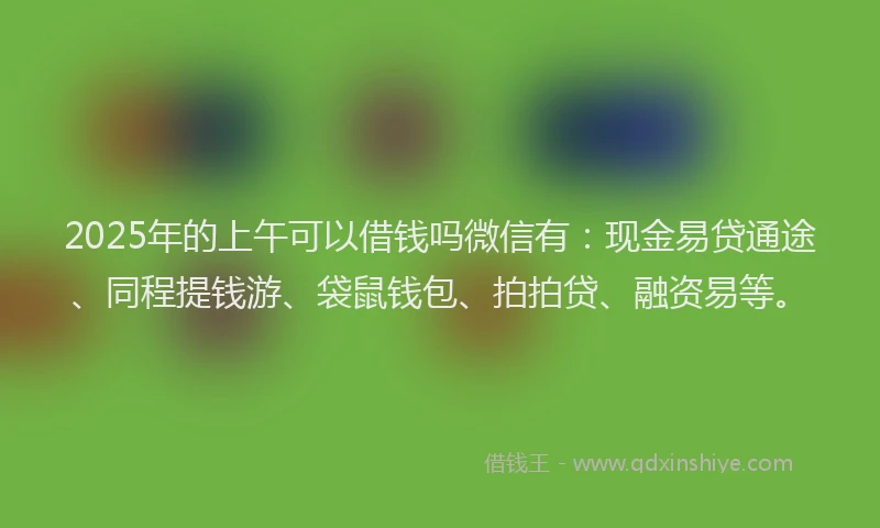 2025年的上午可以借钱吗微信有：现金易贷通途、同程提钱游、袋鼠钱包、拍拍贷、融资易等。