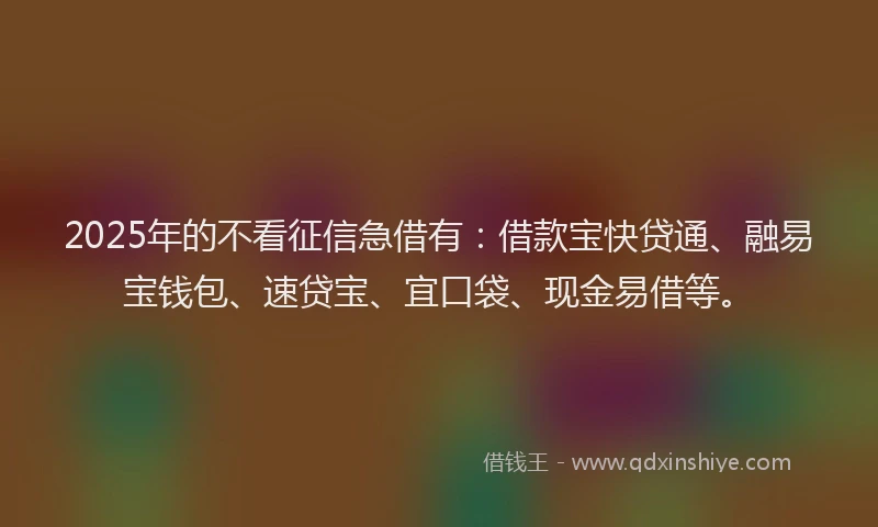 2025年的不看征信急借有：借款宝快贷通、融易宝钱包、速贷宝、宜口袋、现金易借等。