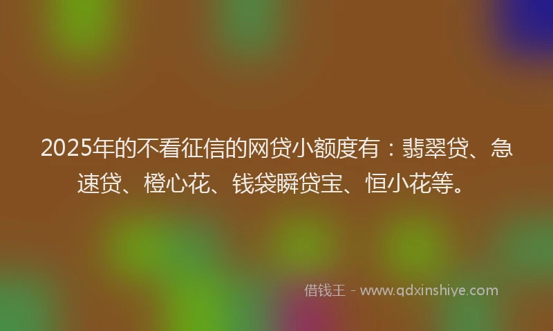 2025年的不看征信的网贷小额度有：翡翠贷、急速贷、橙心花、钱袋瞬贷宝、恒小花等。