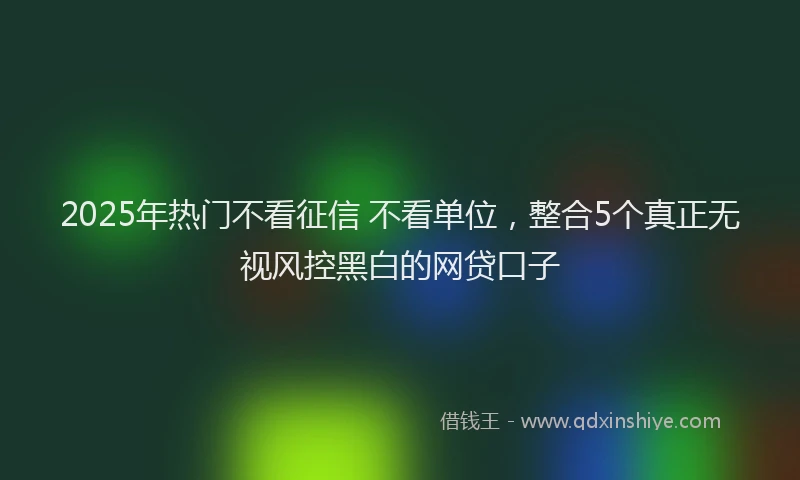 2025年热门不看征信 不看单位，整合5个真正无视风控黑白的网贷口子