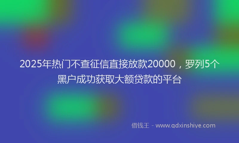 2025年热门不查征信直接放款20000，罗列5个黑户成功获取大额贷款的平台