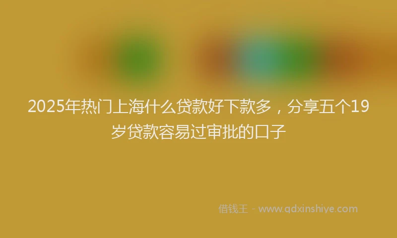 2025年热门上海什么贷款好下款多，分享五个19岁贷款容易过审批的口子