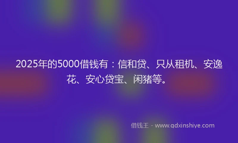 2025年的5000借钱有：信和贷、只从租机、安逸花、安心贷宝、闲猪等。