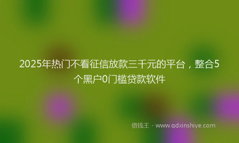 2025年热门不看征信放款三千元的平台，整合5个黑户0门槛贷款软件