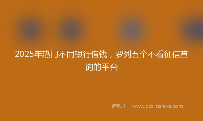 2025年热门不同银行借钱，罗列五个不看征信查询的平台