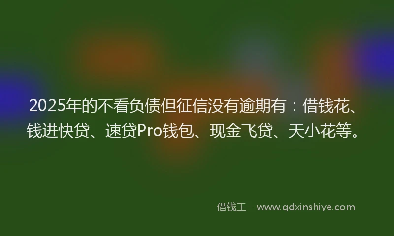 2025年的不看负债但征信没有逾期有：借钱花、钱进快贷、速贷Pro钱包、现金飞贷、天小花等。