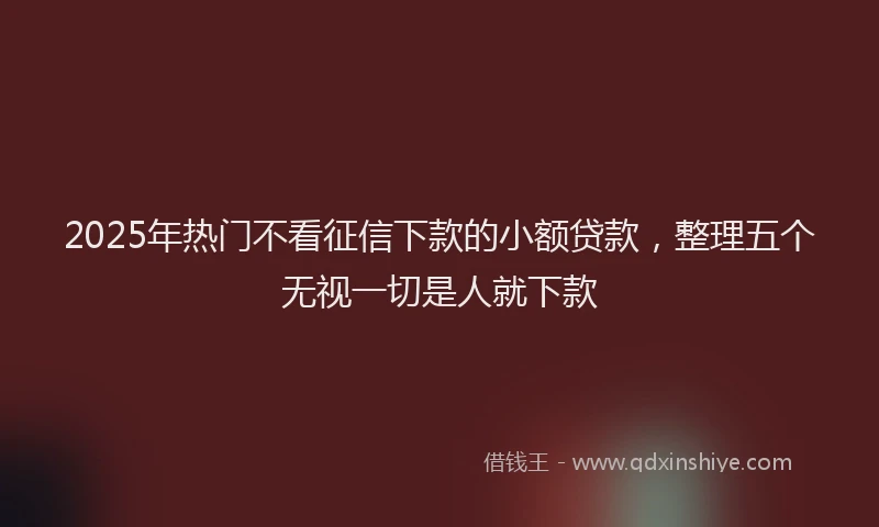 2025年热门不看征信下款的小额贷款，整理五个无视一切是人就下款