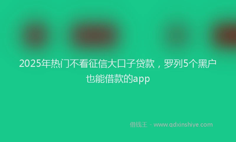 2025年热门不看征信大口子贷款，罗列5个黑户也能借款的app