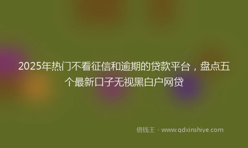 2025年热门不看征信和逾期的贷款平台，盘点五个最新口子无视黑白户网贷