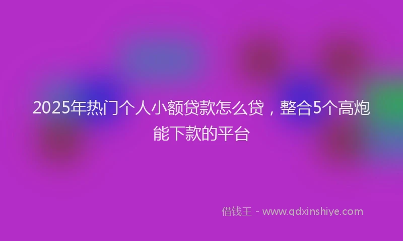 2025年热门个人小额贷款怎么贷，整合5个高炮能下款的平台