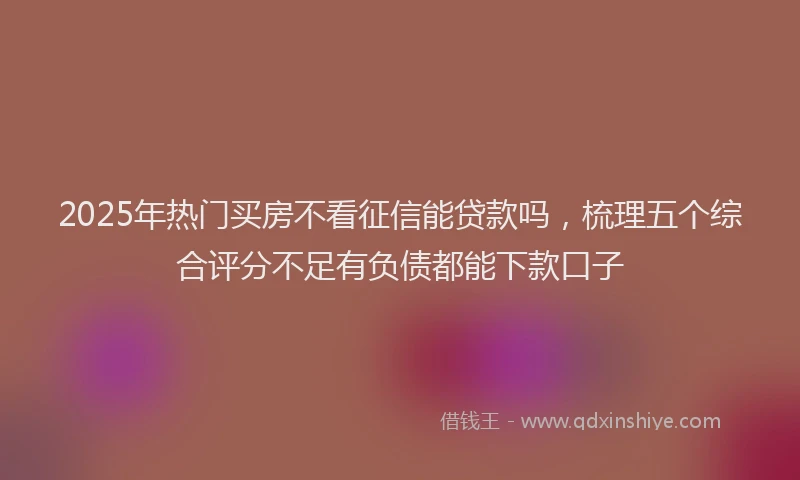 2025年热门买房不看征信能贷款吗，梳理五个综合评分不足有负债都能下款口子