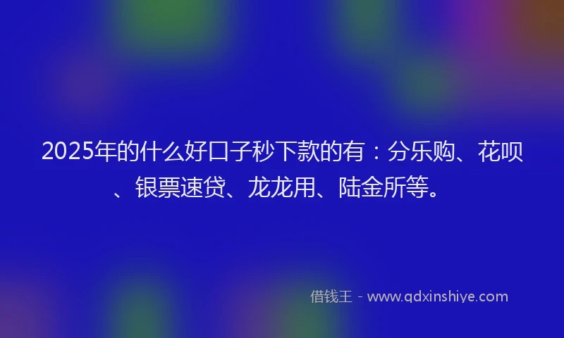 2025年的什么好口子秒下款的有：分乐购、花呗、银票速贷、龙龙用、陆金所等。