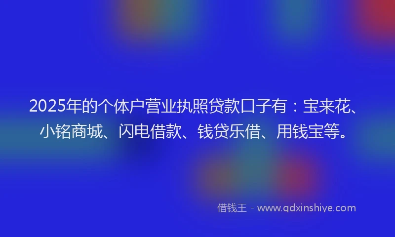 2025年的个体户营业执照贷款口子有：宝来花、小铭商城、闪电借款、钱贷乐借、用钱宝等。