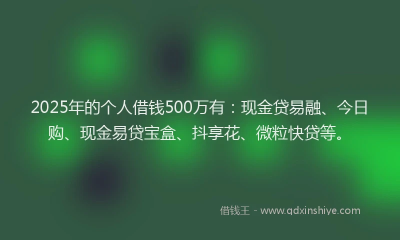 2025年的个人借钱500万有：现金贷易融、今日购、现金易贷宝盒、抖享花、微粒快贷等。