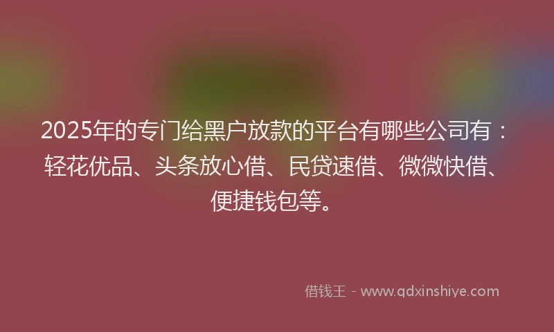 2025年的专门给黑户放款的平台有哪些公司有：轻花优品、头条放心借、民贷速借、微微快借、便捷钱包等。