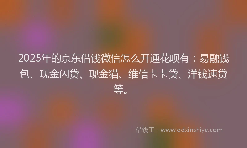 2025年的京东借钱微信怎么开通花呗有：易融钱包、现金闪贷、现金猫、维信卡卡贷、洋钱速贷等。