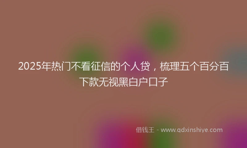 2025年热门不看征信的个人贷，梳理五个百分百下款无视黑白户口子