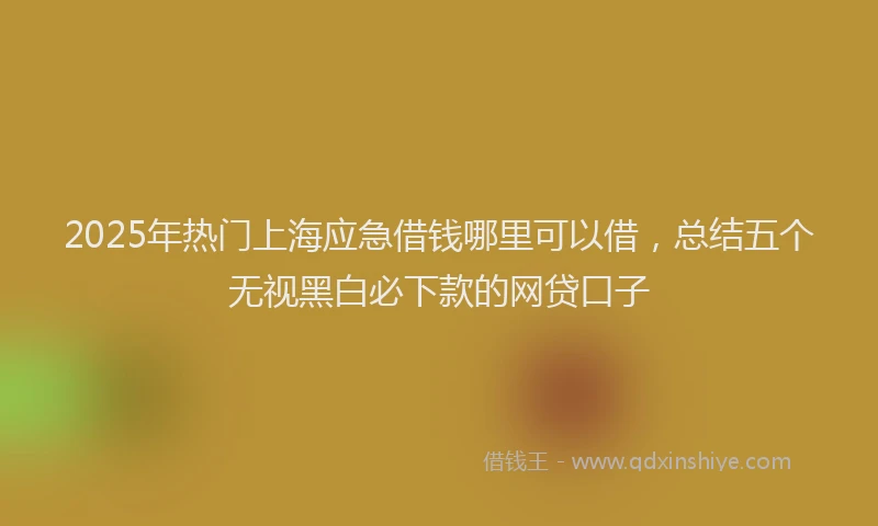 2025年热门上海应急借钱哪里可以借，总结五个无视黑白必下款的网贷口子