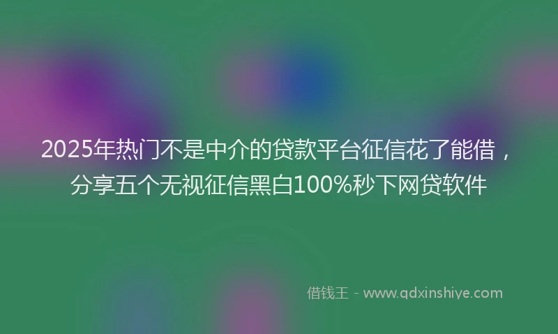 2025年热门不是中介的贷款平台征信花了能借，分享五个无视征信黑白100%秒下网贷软件