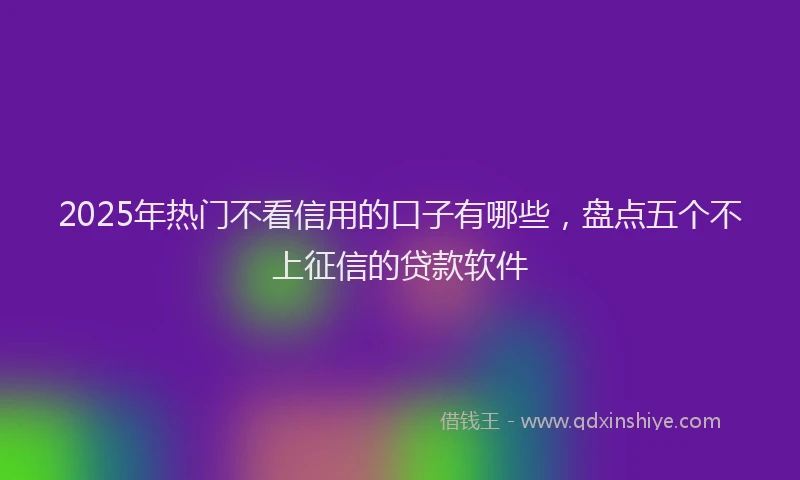 2025年热门不看信用的口子有哪些，盘点五个不上征信的贷款软件